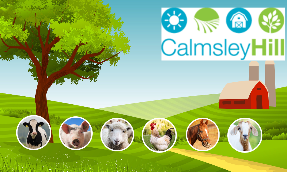 Calmsley Hill Farm 